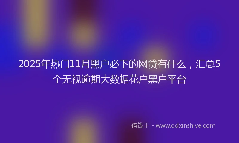 2025年热门11月黑户必下的网贷有什么，汇总5个无视逾期大数据花户黑户平台