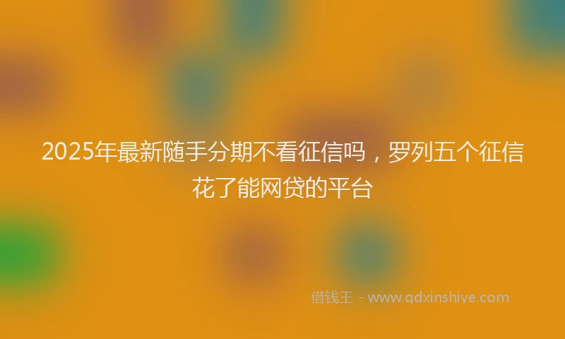 2025年最新随手分期不看征信吗，罗列五个征信花了能网贷的平台