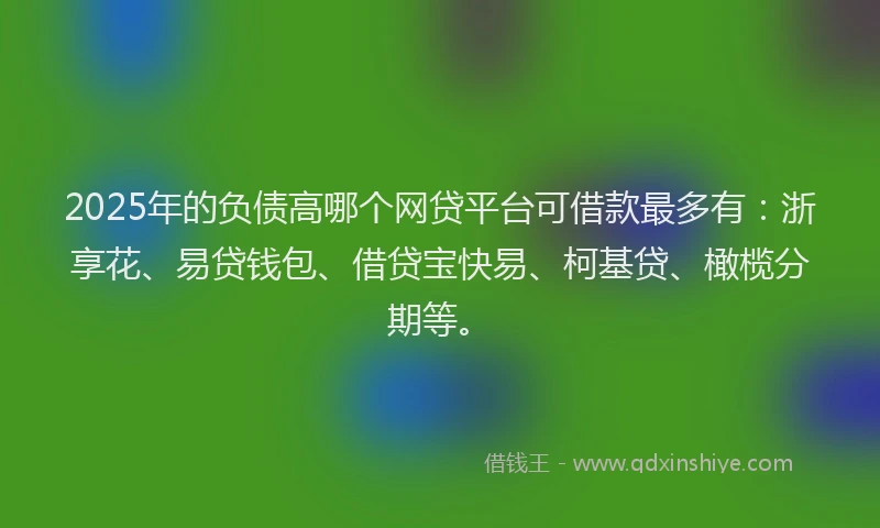 2025年的负债高哪个网贷平台可借款最多有：浙享花、易贷钱包、借贷宝快易、柯基贷、橄榄分期等。