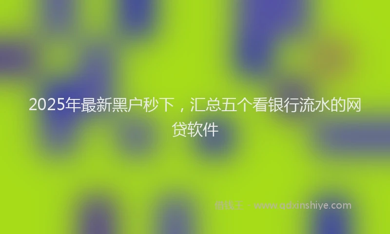 2025年最新黑户秒下，汇总五个看银行流水的网贷软件
