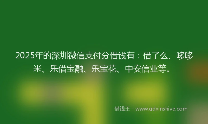 2025年的深圳微信支付分借钱有：借了么、哆哆米、乐借宝融、乐宝花、中安信业等。