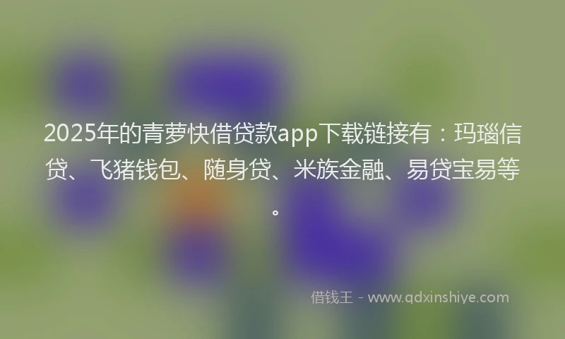 2025年的青萝快借贷款app下载链接有：玛瑙信贷、飞猪钱包、随身贷、米族金融、易贷宝易等。