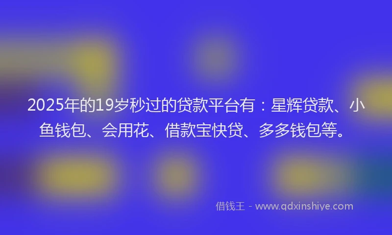 2025年的19岁秒过的贷款平台有：星辉贷款、小鱼钱包、会用花、借款宝快贷、多多钱包等。
