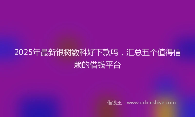 2025年最新银树数科好下款吗，汇总五个值得信赖的借钱平台