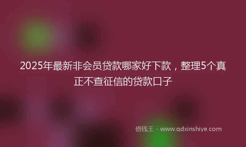 2025年最新非会员贷款哪家好下款，整理5个真正不查征信的贷款口子