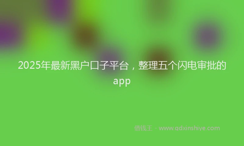 2025年最新黑户口子平台，整理五个闪电审批的app