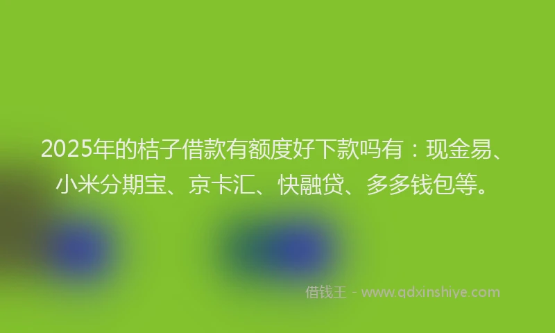 2025年的桔子借款有额度好下款吗有：现金易、小米分期宝、京卡汇、快融贷、多多钱包等。
