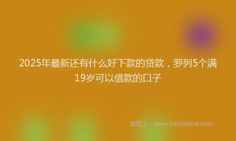2025年最新还有什么好下款的贷款，罗列5个满19岁可以借款的口子