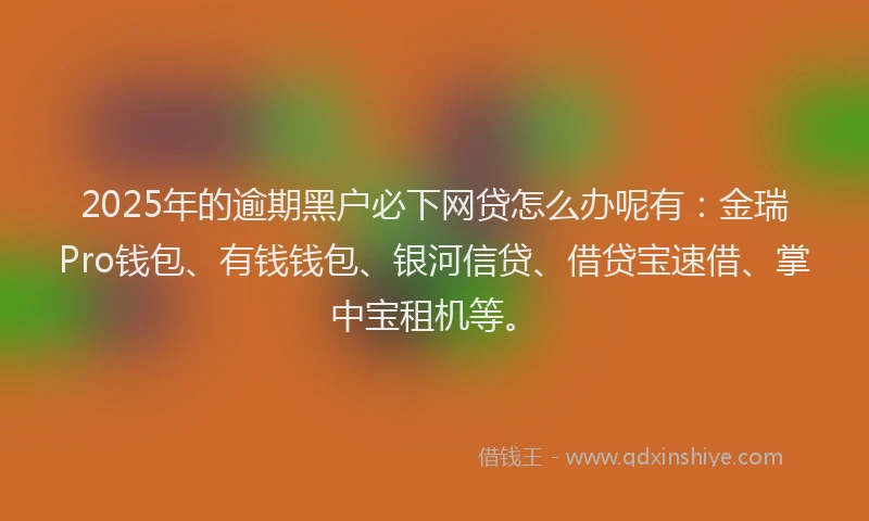 2025年的逾期黑户必下网贷怎么办呢有：金瑞Pro钱包、有钱钱包、银河信贷、借贷宝速借、掌中宝租机等。