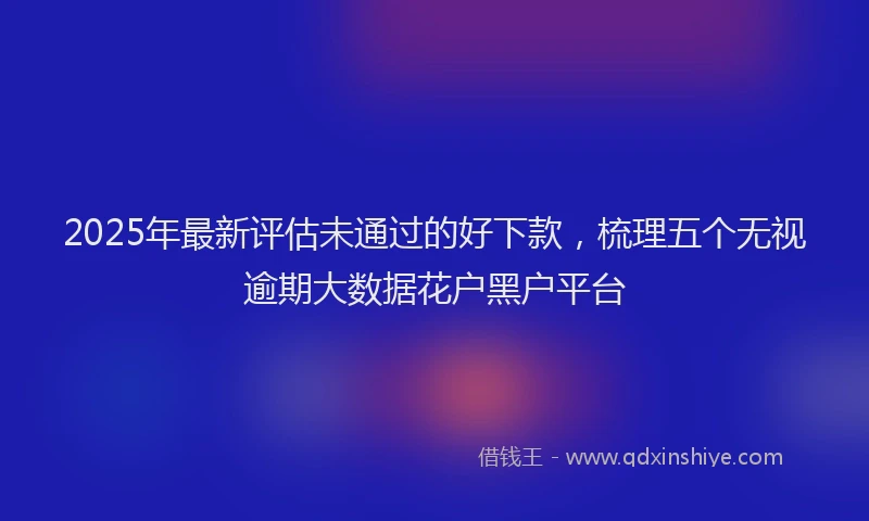 2025年最新评估未通过的好下款，梳理五个无视逾期大数据花户黑户平台