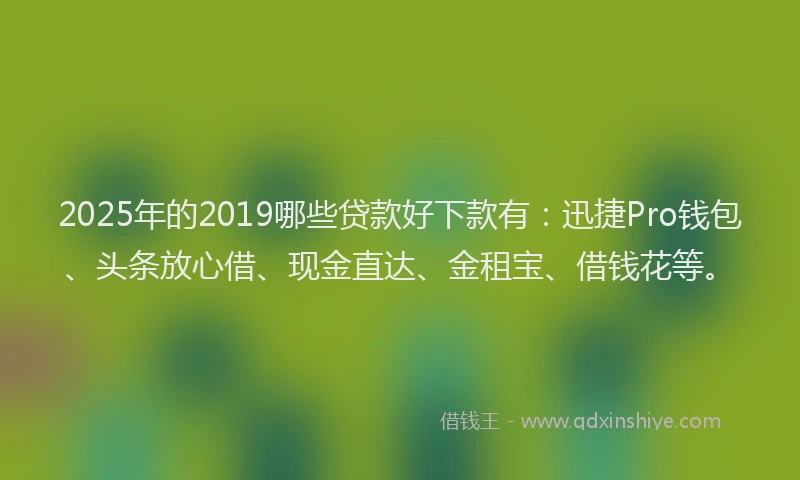 2025年的2019哪些贷款好下款有：迅捷Pro钱包、头条放心借、现金直达、金租宝、借钱花等。