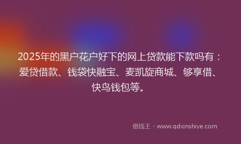 2025年的黑户花户好下的网上贷款能下款吗有：爱贷借款、钱袋快融宝、麦凯旋商城、够享借、快鸟钱包等。