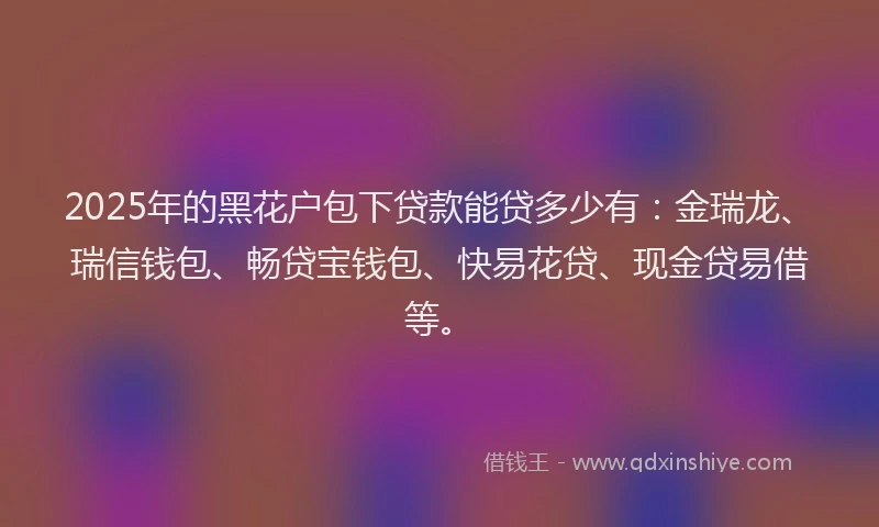 2025年的黑花户包下贷款能贷多少有：金瑞龙、瑞信钱包、畅贷宝钱包、快易花贷、现金贷易借等。