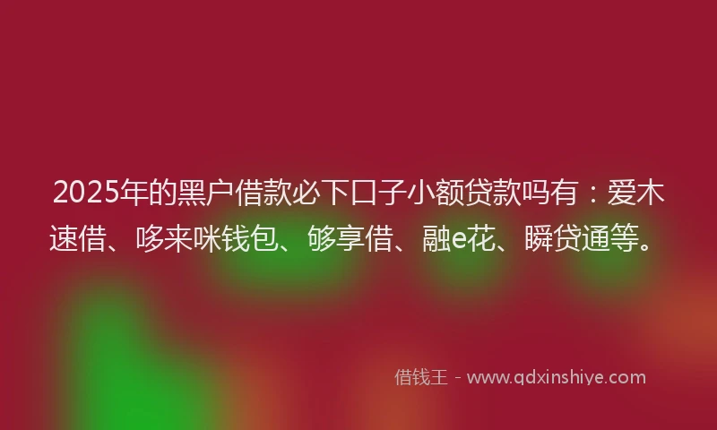 2025年的黑户借款必下口子小额贷款吗有：爱木速借、哆来咪钱包、够享借、融e花、瞬贷通等。