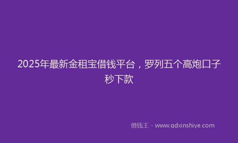 2025年最新金租宝借钱平台，罗列五个高炮口子秒下款