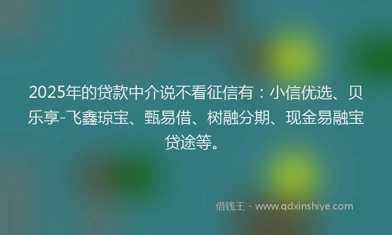 2025年的贷款中介说不看征信有：小信优选、贝乐享-飞鑫琼宝、甄易借、树融分期、现金易融宝贷途等。
