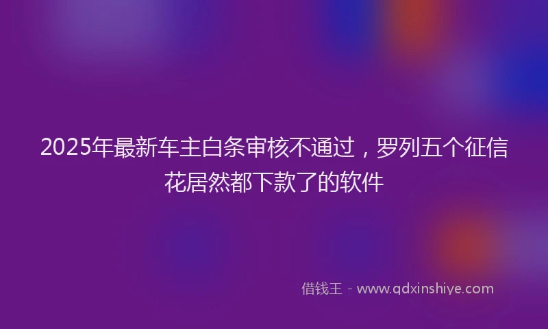 2025年最新车主白条审核不通过，罗列五个征信花居然都下款了的软件