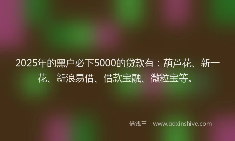 2025年的黑户必下5000的贷款有：葫芦花、新一花、新浪易借、借款宝融、微粒宝等。