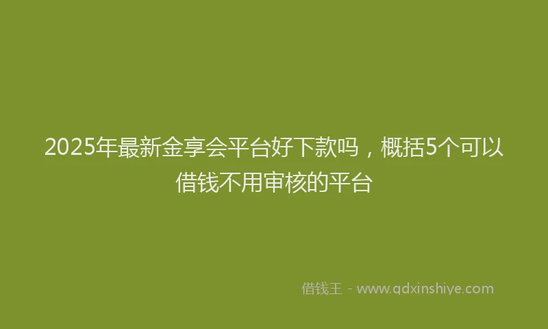 2025年最新金享会平台好下款吗，概括5个可以借钱不用审核的平台