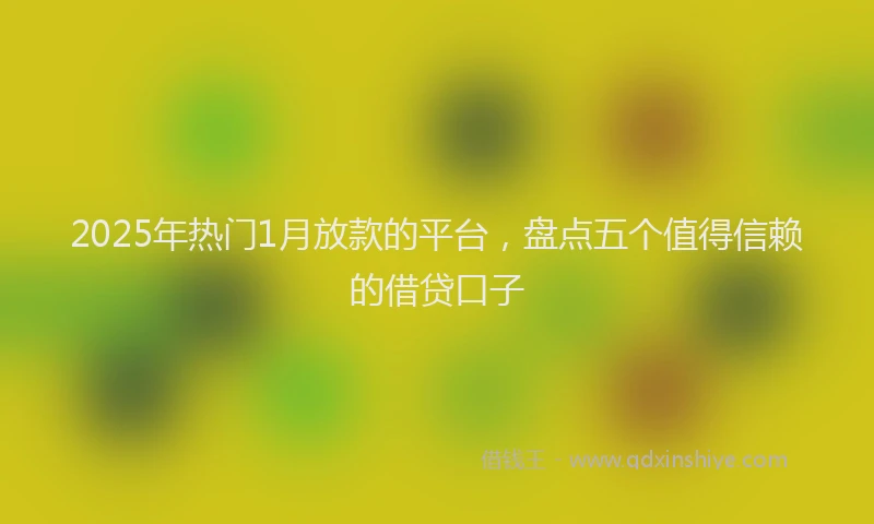 2025年热门1月放款的平台，盘点五个值得信赖的借贷口子