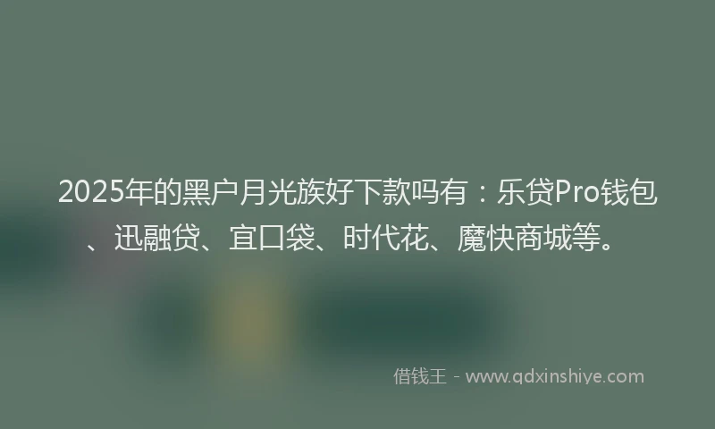 2025年的黑户月光族好下款吗有：乐贷Pro钱包、迅融贷、宜口袋、时代花、魔快商城等。