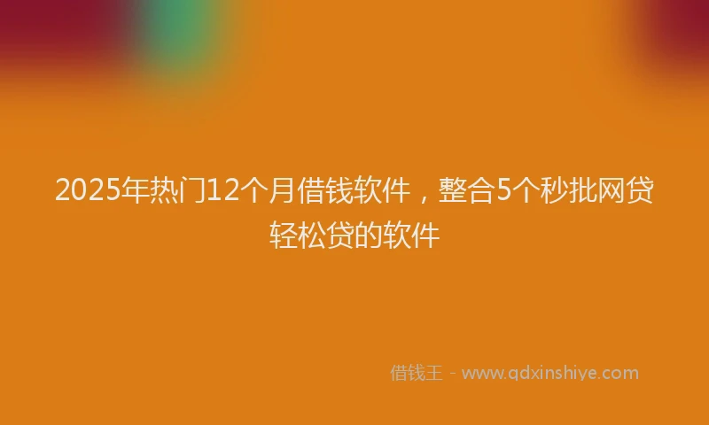 2025年热门12个月借钱软件，整合5个秒批网贷轻松贷的软件