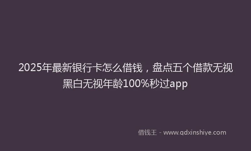 2025年最新银行卡怎么借钱，盘点五个借款无视黑白无视年龄100%秒过app