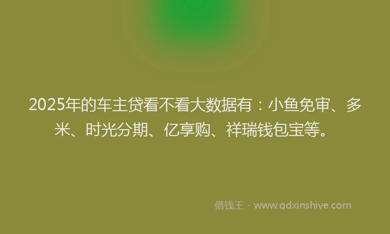 2025年的车主贷看不看大数据有：小鱼免审、多米、时光分期、亿享购、祥瑞钱包宝等。