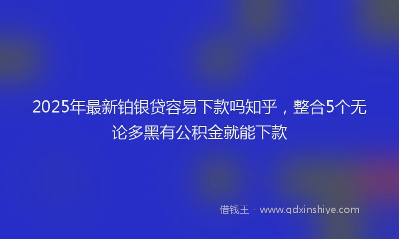 2025年最新铂银贷容易下款吗知乎，整合5个无论多黑有公积金就能下款