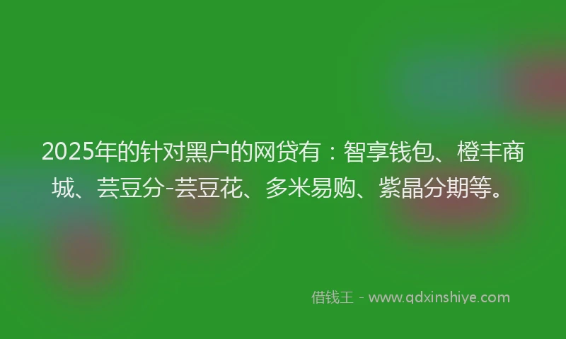 2025年的针对黑户的网贷有：智享钱包、橙丰商城、芸豆分-芸豆花、多米易购、紫晶分期等。