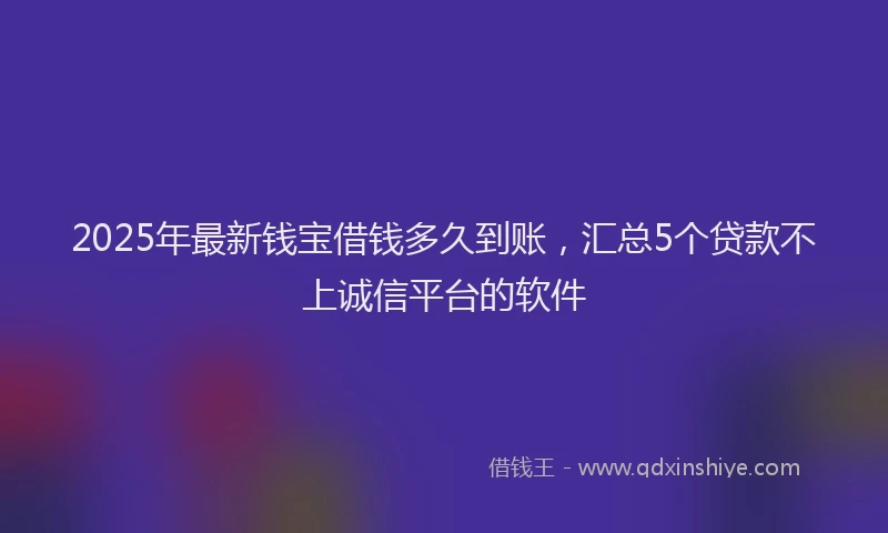 2025年最新钱宝借钱多久到账，汇总5个贷款不上诚信平台的软件