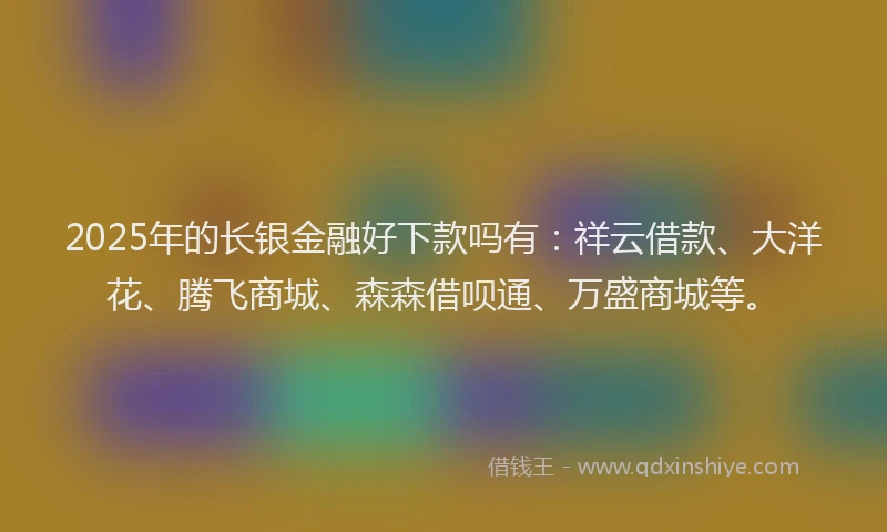 2025年的长银金融好下款吗有：祥云借款、大洋花、腾飞商城、森森借呗通、万盛商城等。
