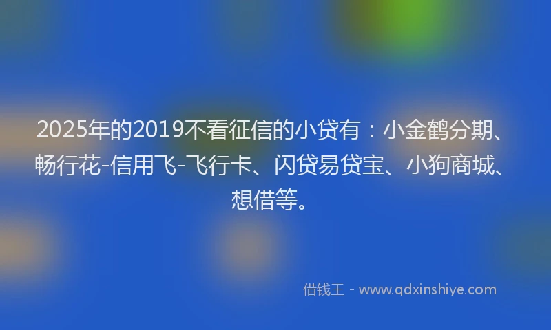 2025年的2019不看征信的小贷有：小金鹤分期、畅行花-信用飞-飞行卡、闪贷易贷宝、小狗商城、想借等。