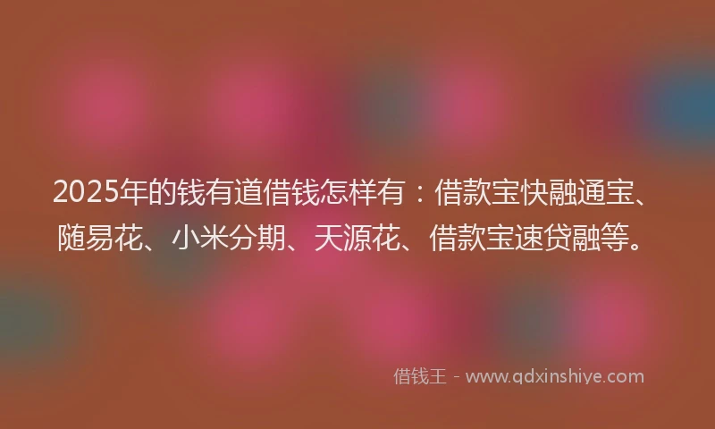 2025年的钱有道借钱怎样有：借款宝快融通宝、随易花、小米分期、天源花、借款宝速贷融等。