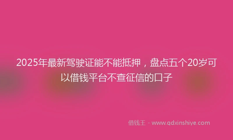 2025年最新驾驶证能不能抵押，盘点五个20岁可以借钱平台不查征信的口子