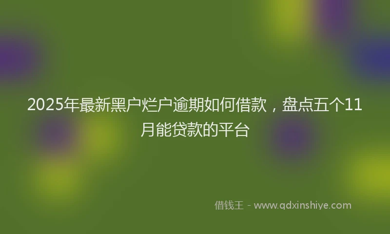 2025年最新黑户烂户逾期如何借款，盘点五个11月能贷款的平台