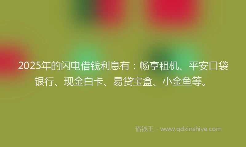2025年的闪电借钱利息有：畅享租机、平安口袋银行、现金白卡、易贷宝盒、小金鱼等。