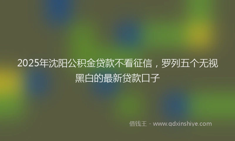 2025年沈阳公积金贷款不看征信，罗列五个无视黑白的最新贷款口子