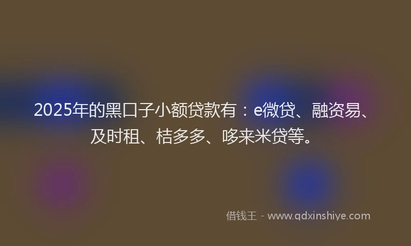 2025年的黑口子小额贷款有：e微贷、融资易、及时租、桔多多、哆来米贷等。