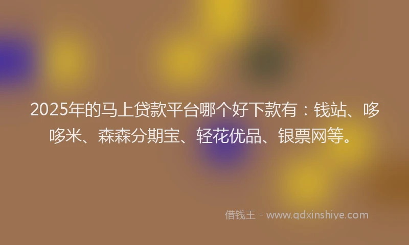 2025年的马上贷款平台哪个好下款有：钱站、哆哆米、森森分期宝、轻花优品、银票网等。