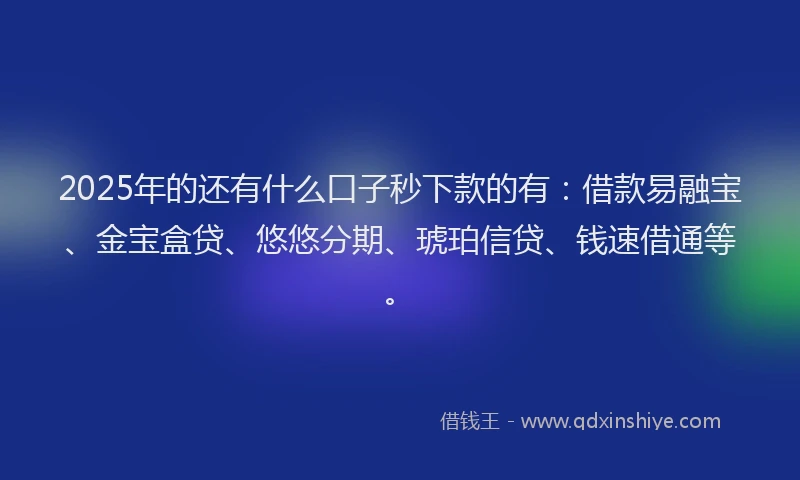 2025年的还有什么口子秒下款的有：借款易融宝、金宝盒贷、悠悠分期、琥珀信贷、钱速借通等。