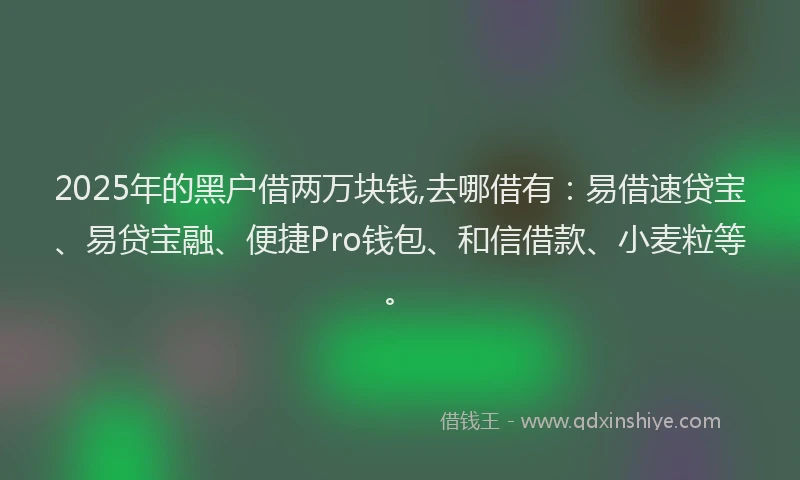 2025年的黑户借两万块钱,去哪借有：易借速贷宝、易贷宝融、便捷Pro钱包、和信借款、小麦粒等。