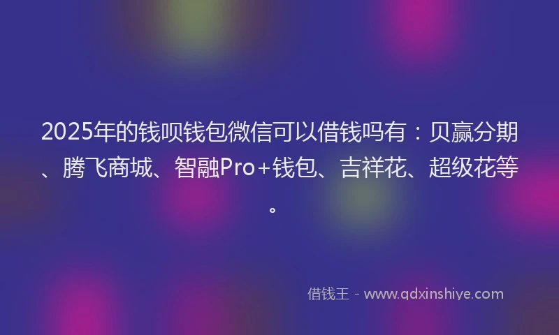 2025年的钱呗钱包微信可以借钱吗有：贝赢分期、腾飞商城、智融Pro+钱包、吉祥花、超级花等。