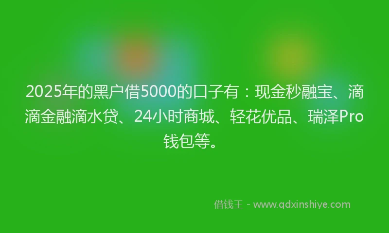 2025年的黑户借5000的口子有：现金秒融宝、滴滴金融滴水贷、24小时商城、轻花优品、瑞泽Pro钱包等。