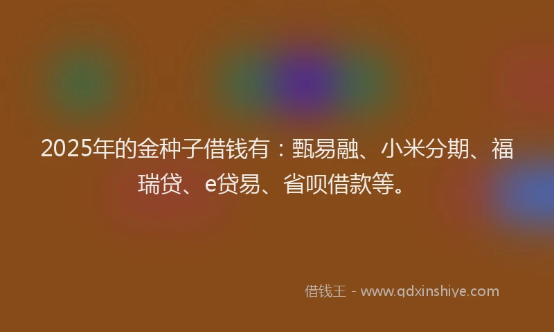 2025年的金种子借钱有：甄易融、小米分期、福瑞贷、e贷易、省呗借款等。