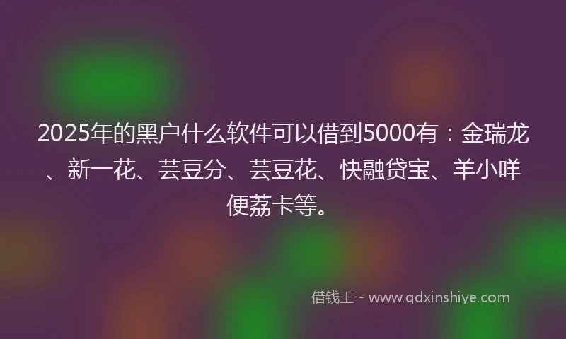 2025年的黑户什么软件可以借到5000有：金瑞龙、新一花、芸豆分、芸豆花、快融贷宝、羊小咩便荔卡等。