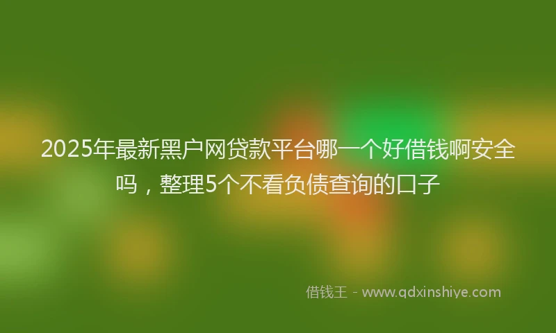 2025年最新黑户网贷款平台哪一个好借钱啊安全吗，整理5个不看负债查询的口子