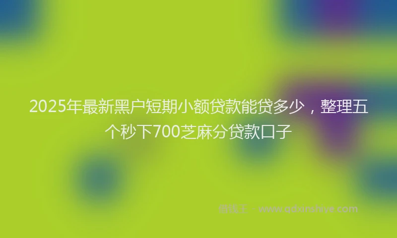 2025年最新黑户短期小额贷款能贷多少，整理五个秒下700芝麻分贷款口子