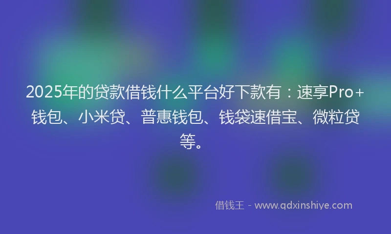 2025年的贷款借钱什么平台好下款有：速享Pro+钱包、小米贷、普惠钱包、钱袋速借宝、微粒贷等。