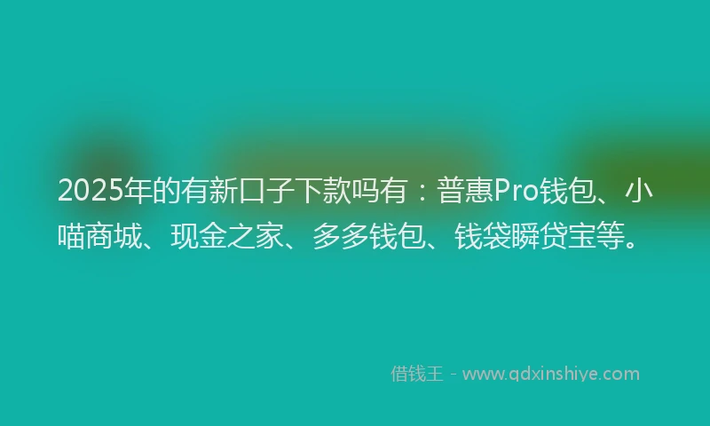 2025年的有新口子下款吗有：普惠Pro钱包、小喵商城、现金之家、多多钱包、钱袋瞬贷宝等。